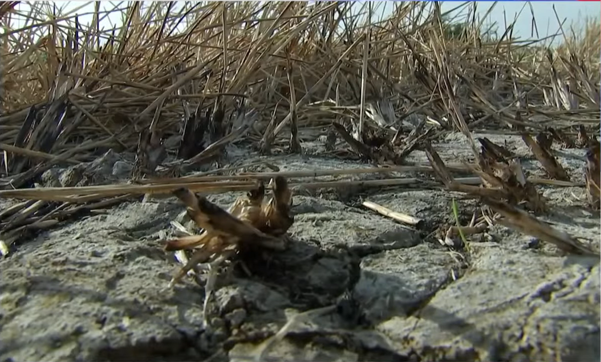 PAGASA has officially issued an 