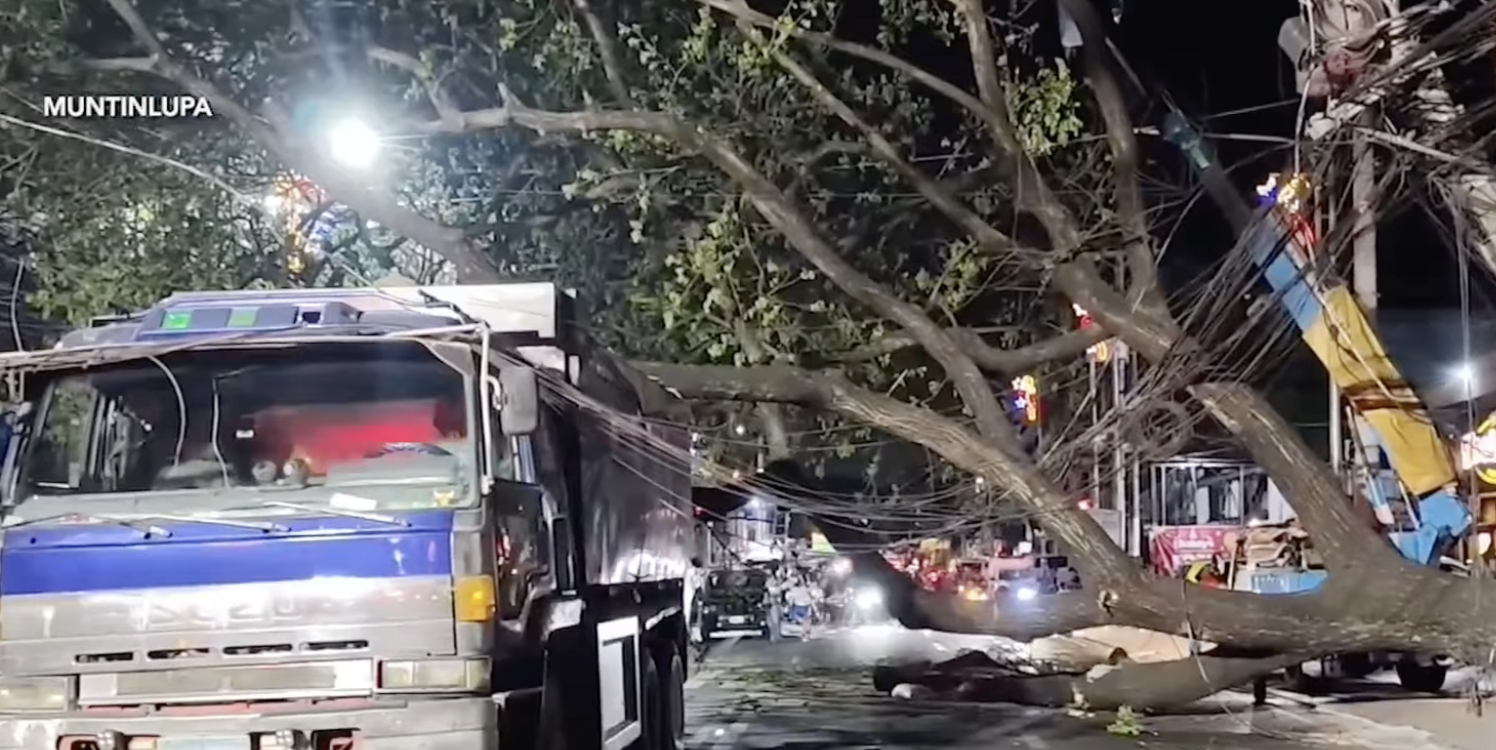 Rider, patay nang mabagsakan ng puno ng Acacia sa Muntinlupa
