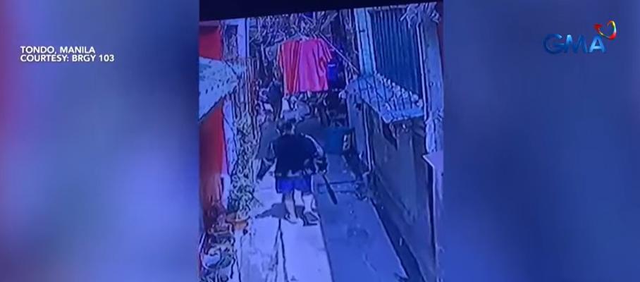 2 aso, hinataw ng baseball bat ng lalaking matadero sa Maynila; 1 sa mga aso, patay