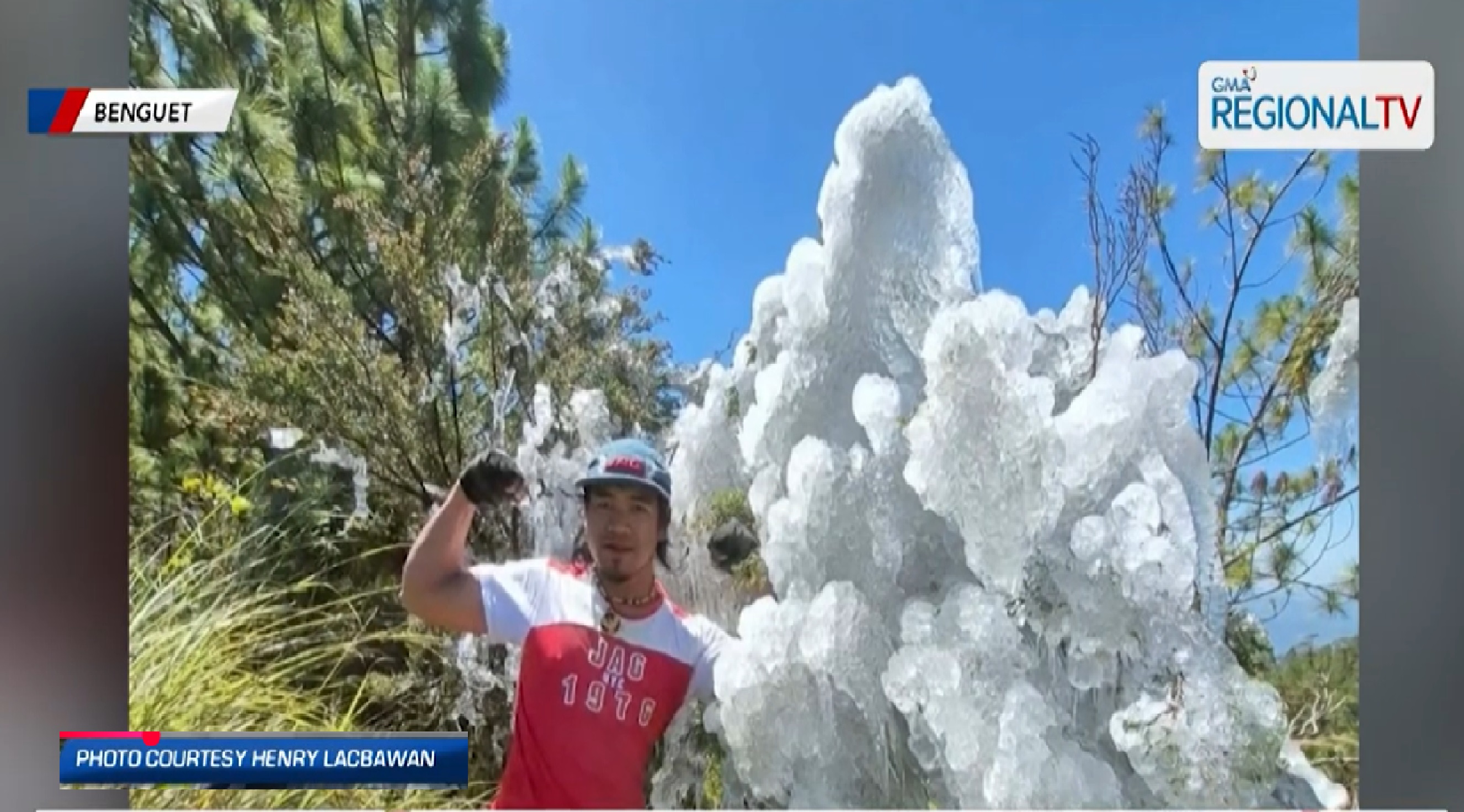 Ilang tanim, halaman, nag-yelo sa Benguet dahil sa sobrang lamig