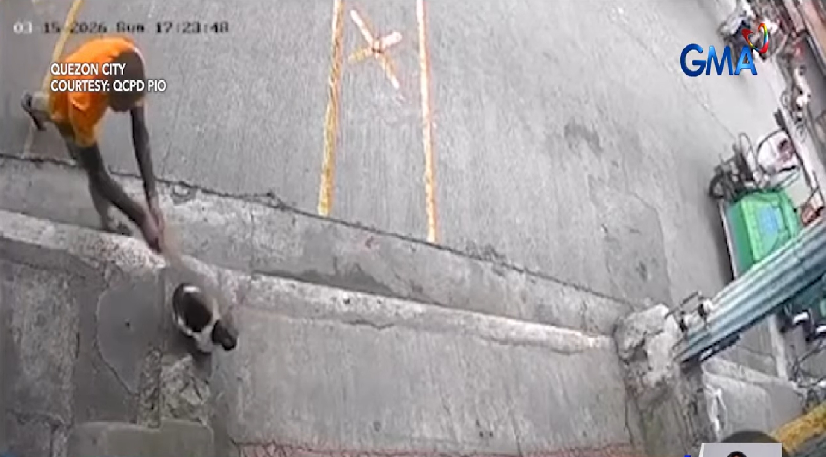 Nakatambay na pusa, patay nang hatawin ng kahoy ng lalaki sa QC; suspek, nakalaya