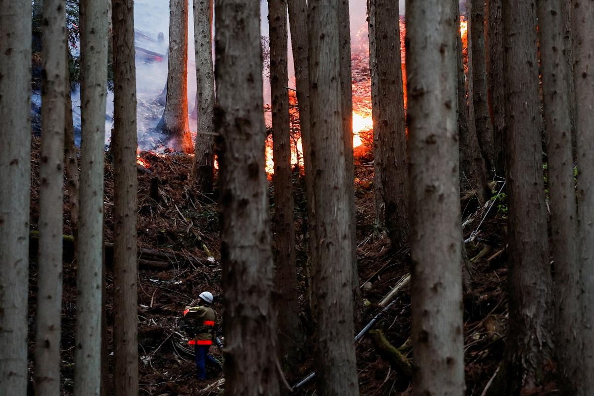 Japan deploys hundreds of firefighters as wildfires rage in north