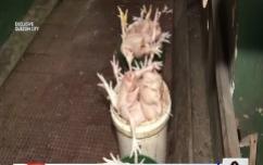 Mahigit isang tonelada ng mga karne ng manok, mishandled frozen meat, kinumpiska sa QC