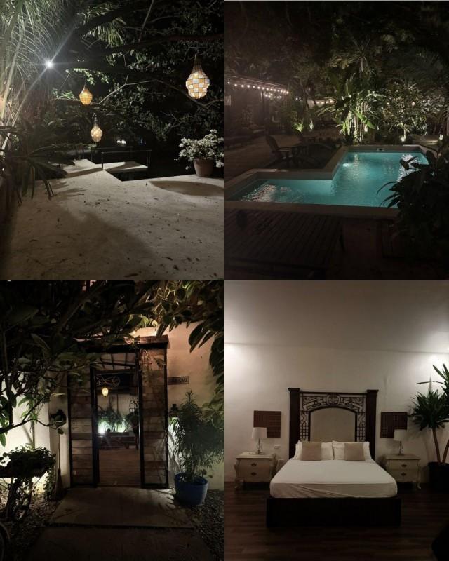 Photos: Sachi Saygan