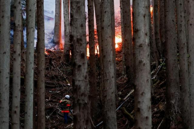 A firefighter works to put out fire in a forest as wildfires continue to burn in Otsuchi, Iwate Prefecture, Japan, April 26, 2026. REUTERS/ Kim Kyung-Hoon