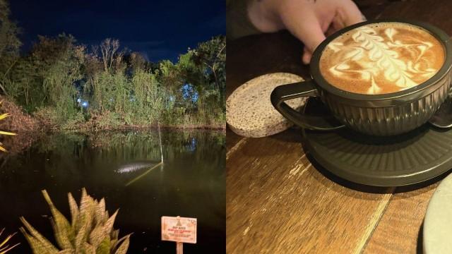 Photos: Sachi Saygan