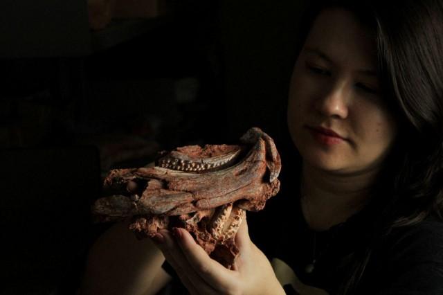 Palaeontologist Jeung Hee Schiefelbein holds fossil remains of a newly identified 230-million-year-old parrot-beaked reptile, at the palaeontology research center of the Federal University of Santa Maria in Sao Joao do Polesine, Rio Grande do Sul state, Brazil, March 27, 2026. Rodrigo Temp Muller/Universidade Federal de Santa Maria/Handout via REUTERS 