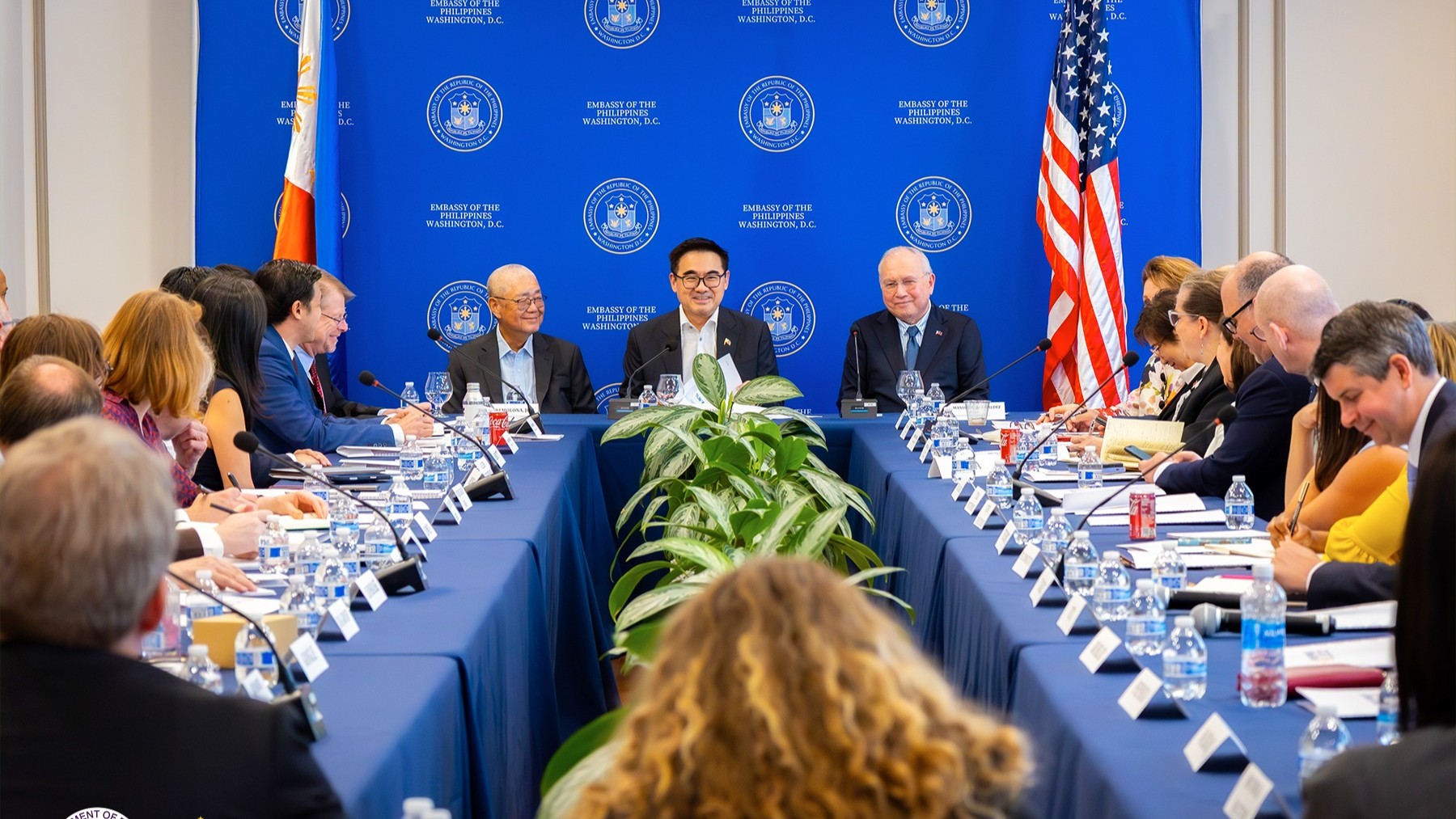 DOF’s Go woos US private sector to support PH economic reforms