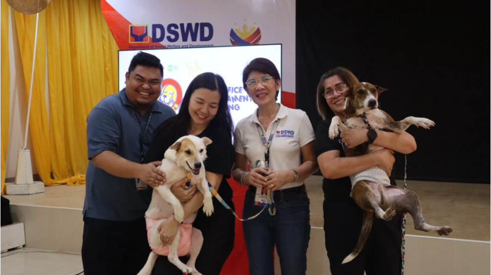 Here comes Doctor Dog: DSWD OKs 11 dogs for Angel Pets Program in Cebu 