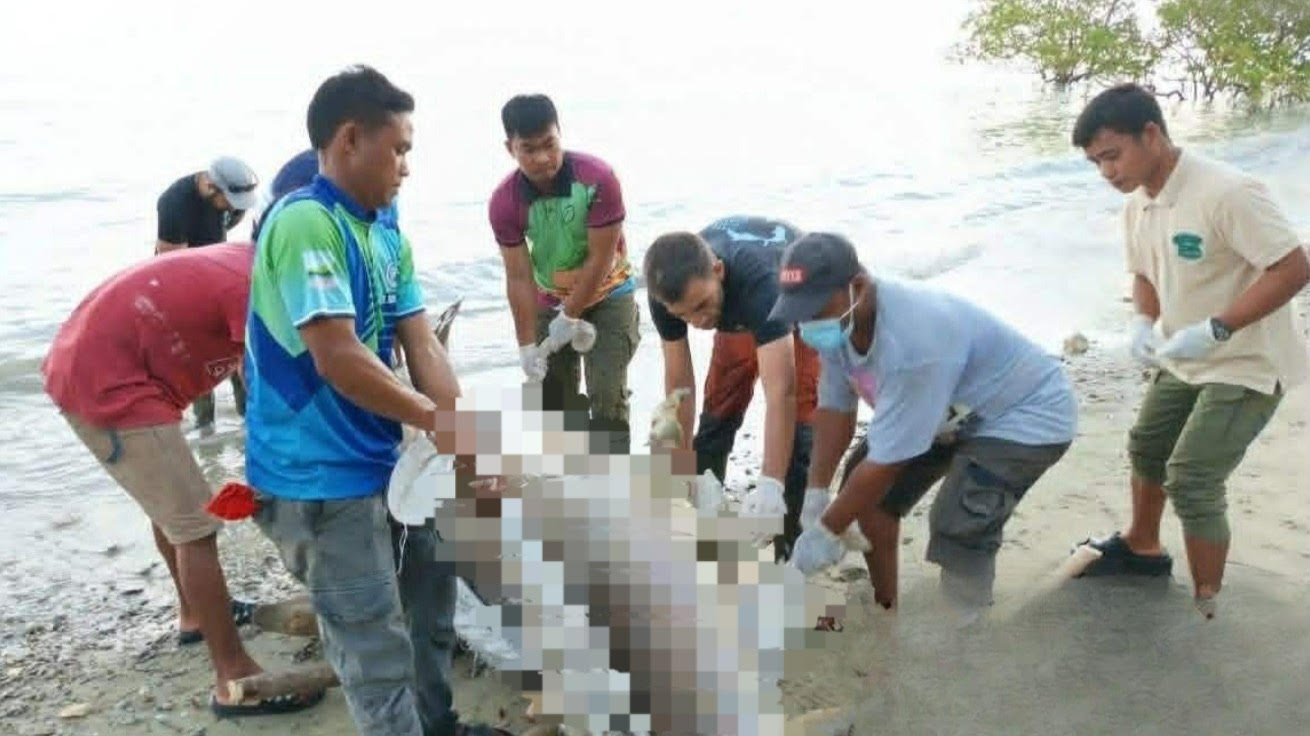 Dugong found dead ashore in Puerto Princesa City