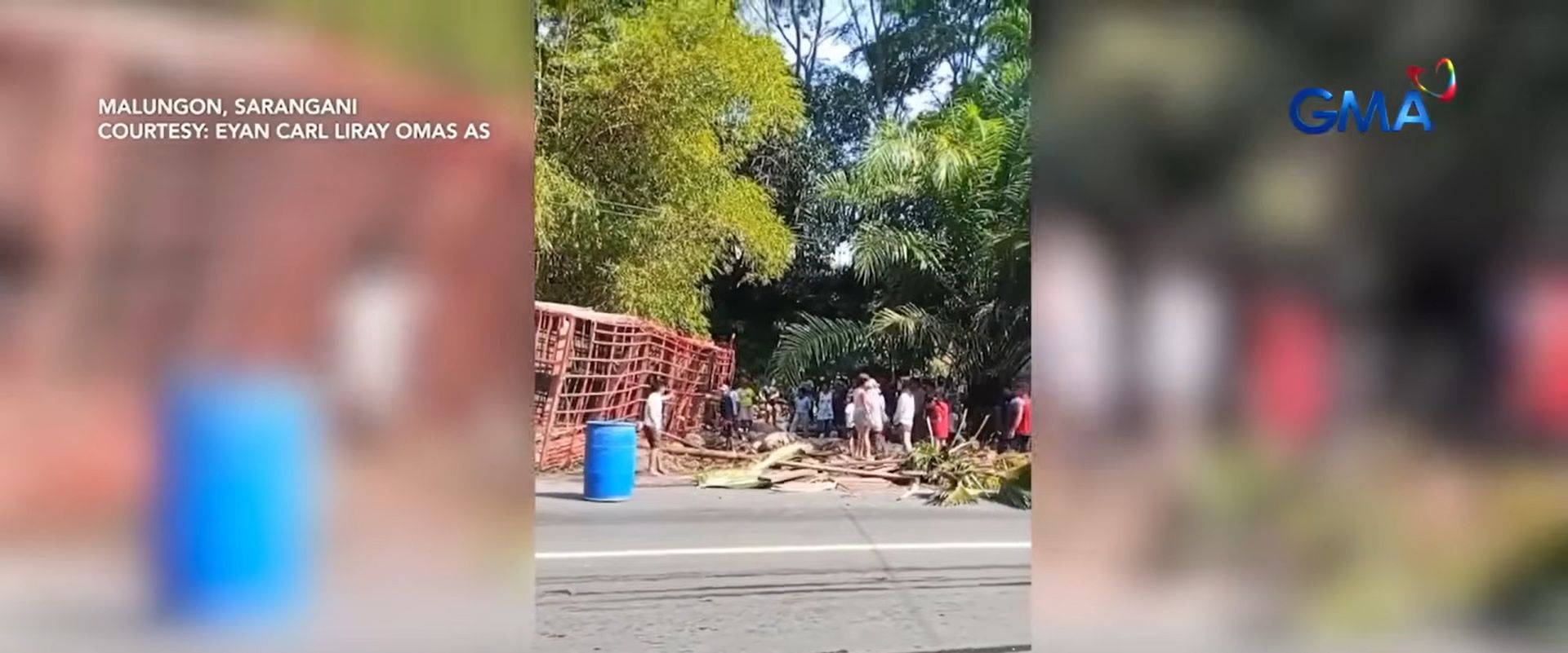 33 baboy na nagkakahalaga ng P600K, patay nang tumagilid ang truck na nagkakarga sa mga ito
