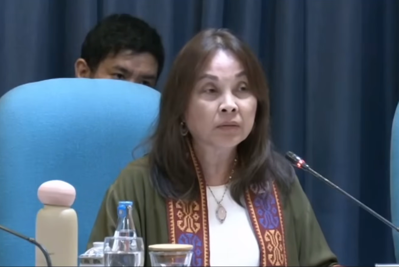 Legarda pushes P230-B 'Bayanihan 3" to address Middle East conflict impact
