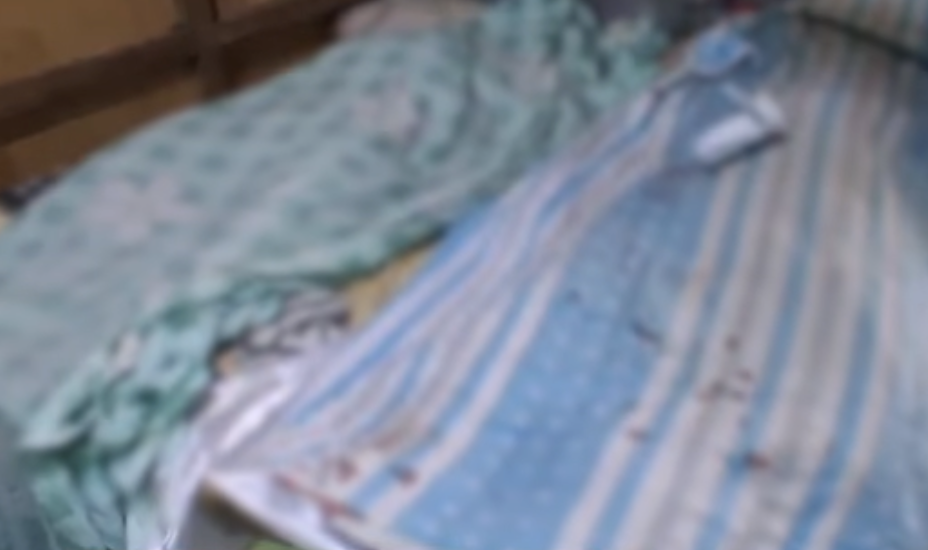 3, including a child, killed in 'shootout' during arrest warrant service