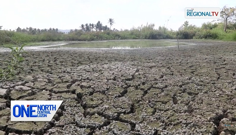 Sapa, natutuyo na sa sobrang init ng panahon sa Casiguran, Aurora; mga taniman, apektado