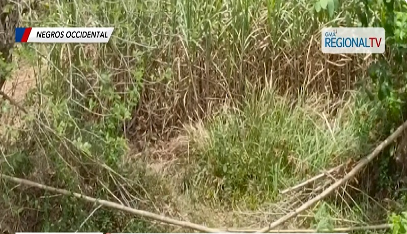 Dalagitang pinabili ng alak at yelo, ‘di na nakauwi; natagpuang patay pagkaraan ng ilang araw 