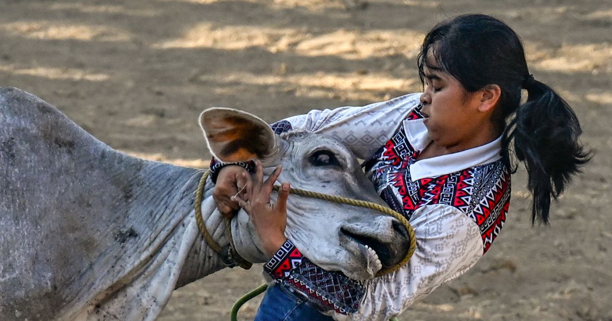 Cowgirls of PH rodeo tackle steers, stereotypes