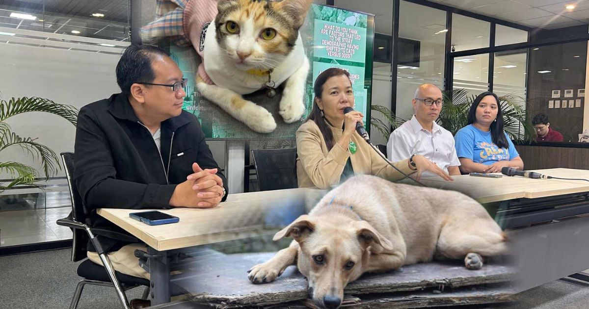 PAWS pushes for LGUs to give free monthly spay, neuter services
