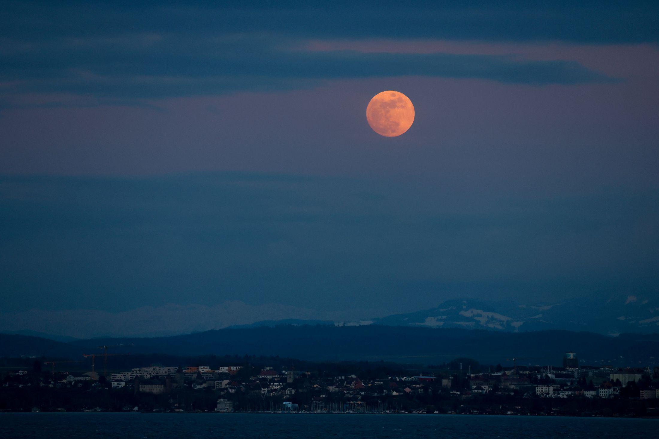NASA-led study shows some Earth microbes could survive on the moon