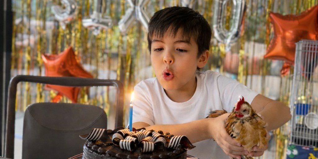 Marian Rivera, Dingdong Dantes grant son Sixto's wish for pet chicken on 7th birthday