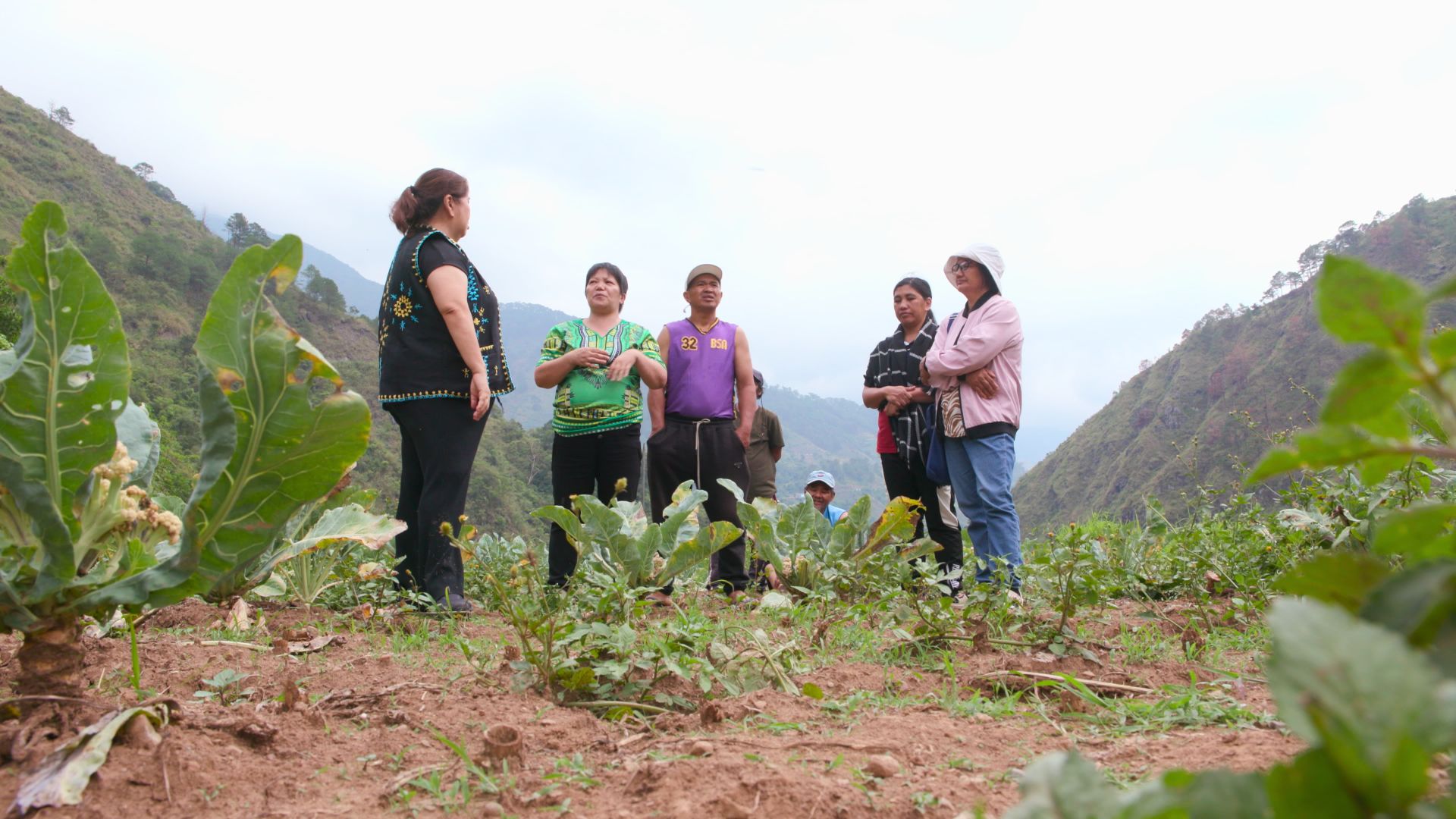 Benguet farmers struggle with low vegetable prices, oppose planned carrot imports