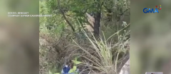 Sasakyan, nahulog sa bangin sa Benguet; 5 sakay na magkakaanak, nasagip