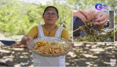 Crackers na gawa sa seaweeds, ginagawa ng mga babaeng mangingisda sa Concepcion, Iloilo