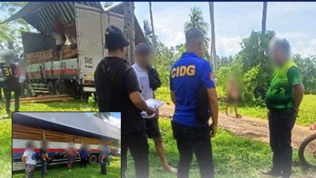 PNP: P1M narra lumber seized, suspect arrested in anti-illegal logging operation