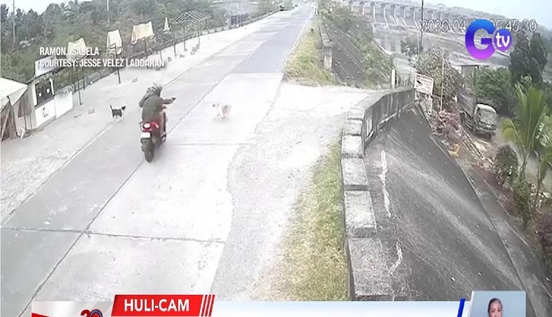 Aso na nanghabol ng riding in tandem, patay matapos barilin sa Isabela