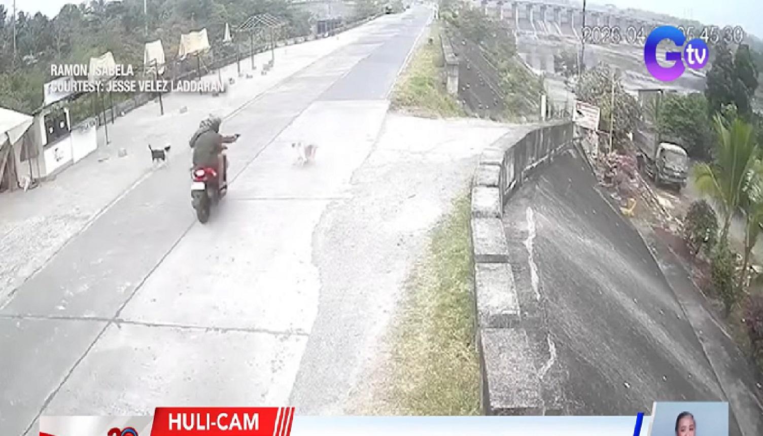 Aso na nanghabol ng riding in tandem, patay matapos barilin sa Isabela