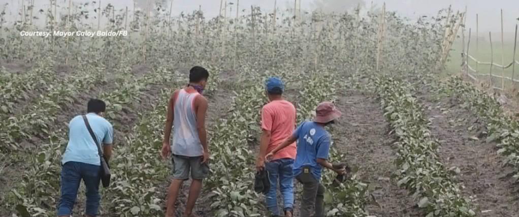 Agri damage in Albay due to Mayon Volcano ashfall reaches P6.6 million