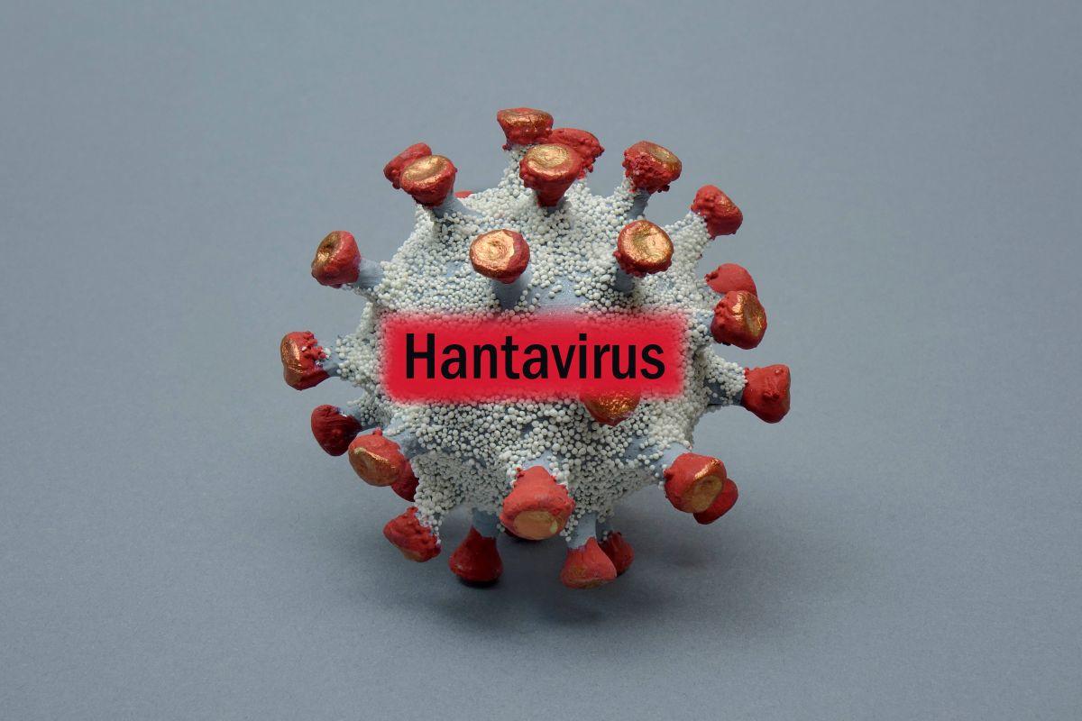 EXPLAINER: What is the hantavirus that killed three cruise ship passengers?