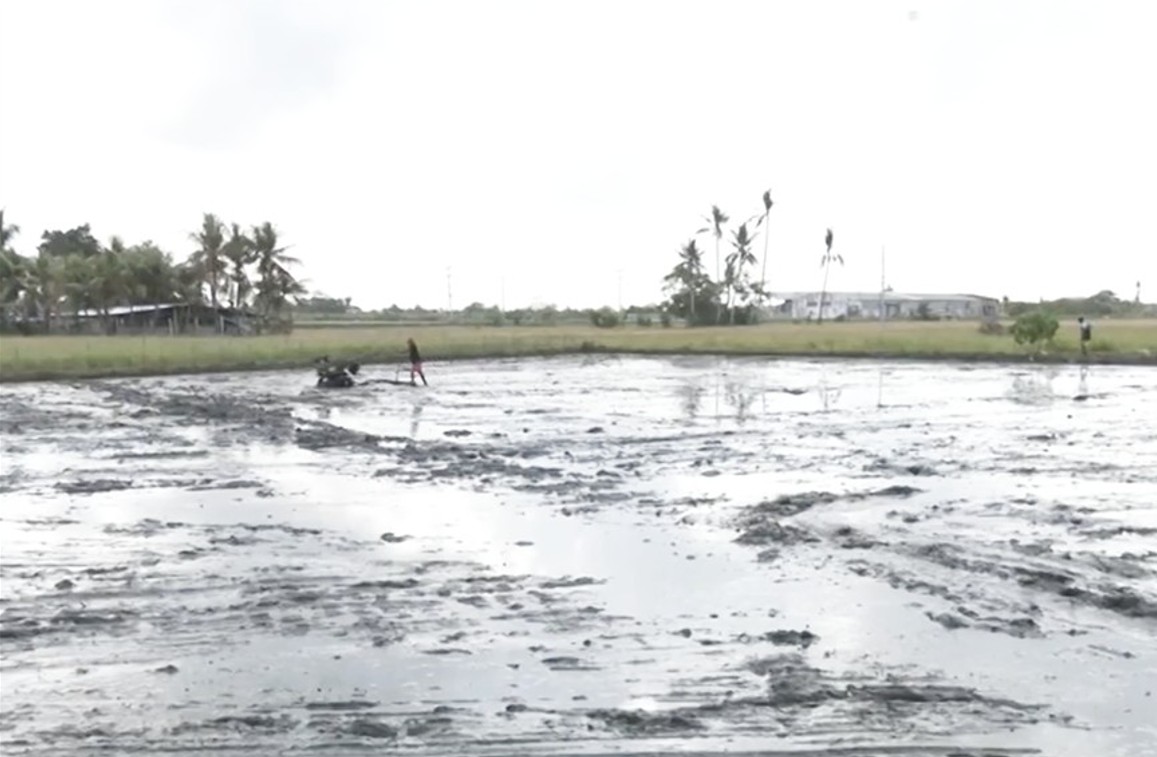 Water from dams is used for irrigation of farm lands