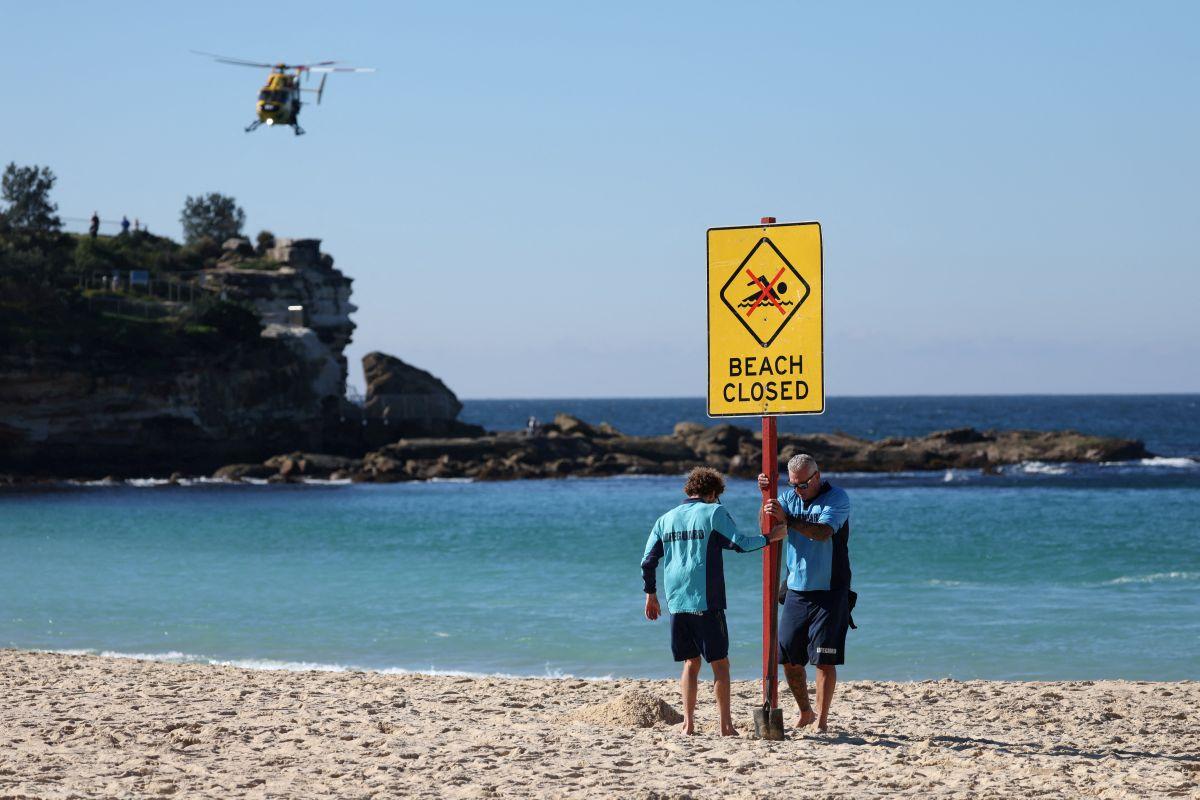 Woman seriously injured in shark attack at Sydney beach