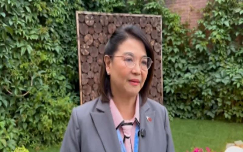 ICC not a political weapon, case was filed by a Filipino in 2017, says Usec. Castro
