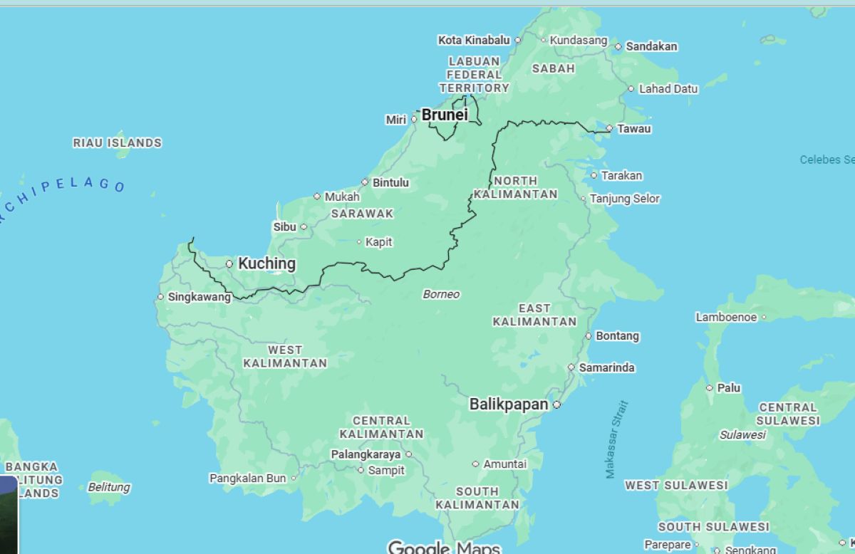Scientists discover 'hyperparasite' in Malaysia Borneo jungle