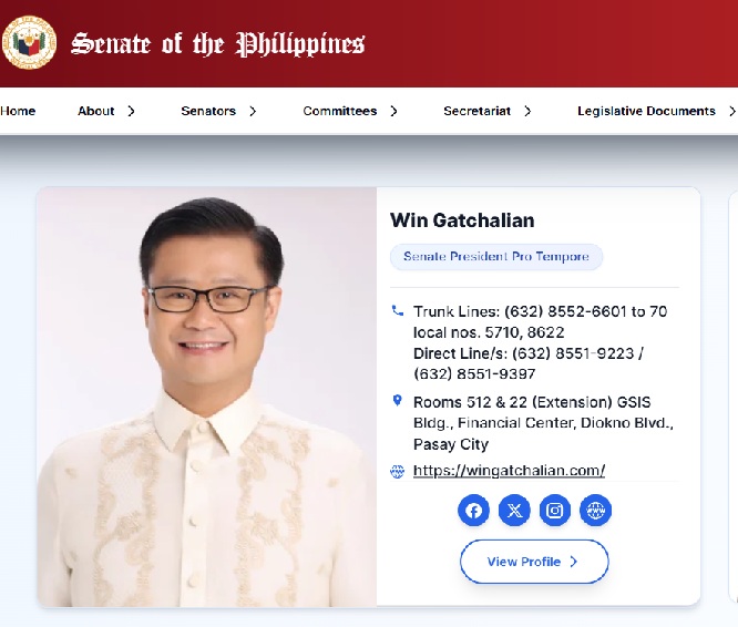 Senate Website Lists Sherwin Gatchalian as President Pro Tempore Amid Dispute