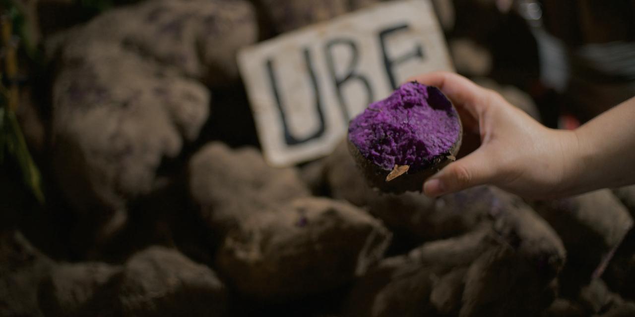 UPLB researchers looking into better ube varieties amid popularity