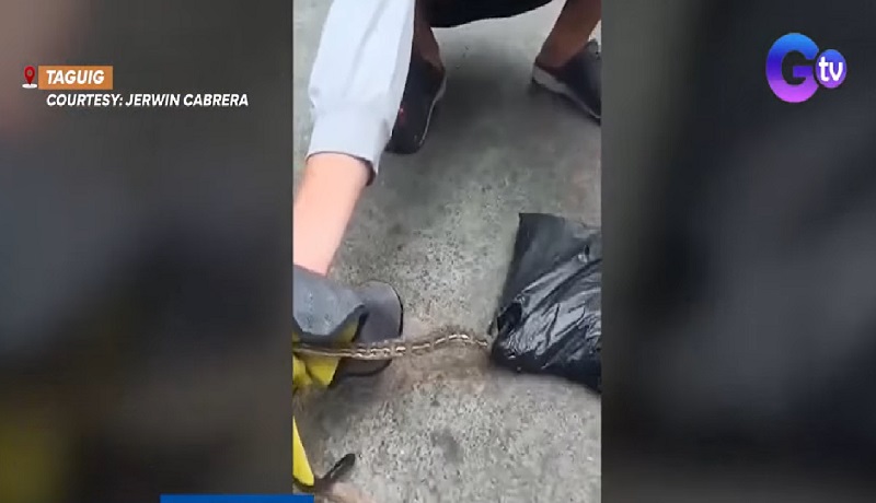 Sawa, nahugot mula sa loob ng ide-deliver na parcel
