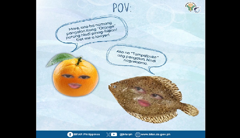 Isdang ‘tampalpuke,’ maka-relate kaya kay ‘Sharmaine the orange’?