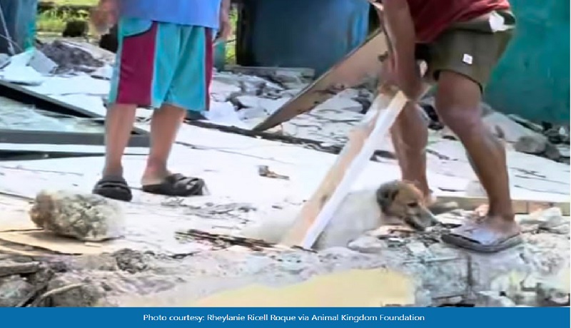 Aso, nailigtas mula sa mga guho sa Sarangani matapos ang malakas na lindol sa Mindanao