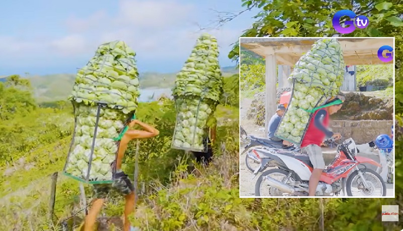 Mga magsasaka sa Cebu, daan-daang kilo ng gulay ang pinapasan pababa mula sa kabundukan para ibenta