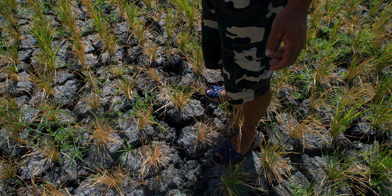 DENR issues water conservation advisory amid El Niño