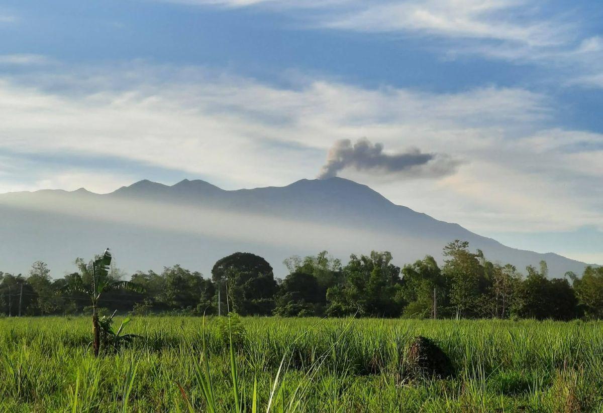 Kanlaon Volcano emitted ash 4 times, had 9 volcanic earthquakes --PHIVOLCS