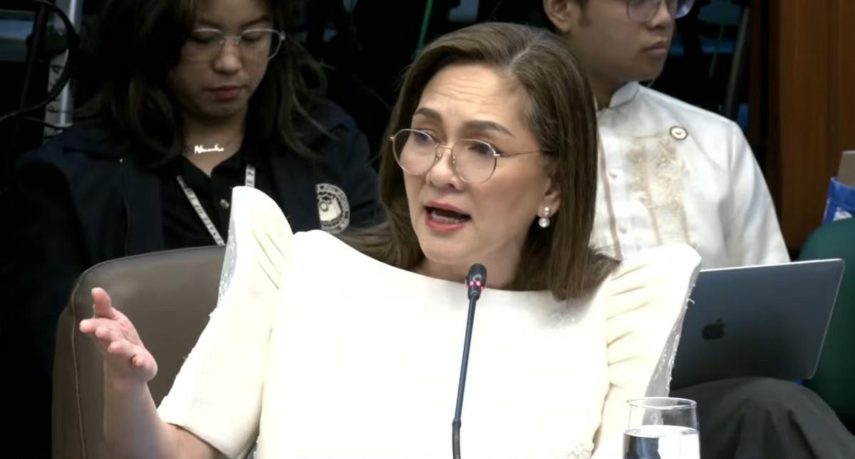 Hontiveros warns 18 ex-Marines with subpoena, show cause orders due to absence