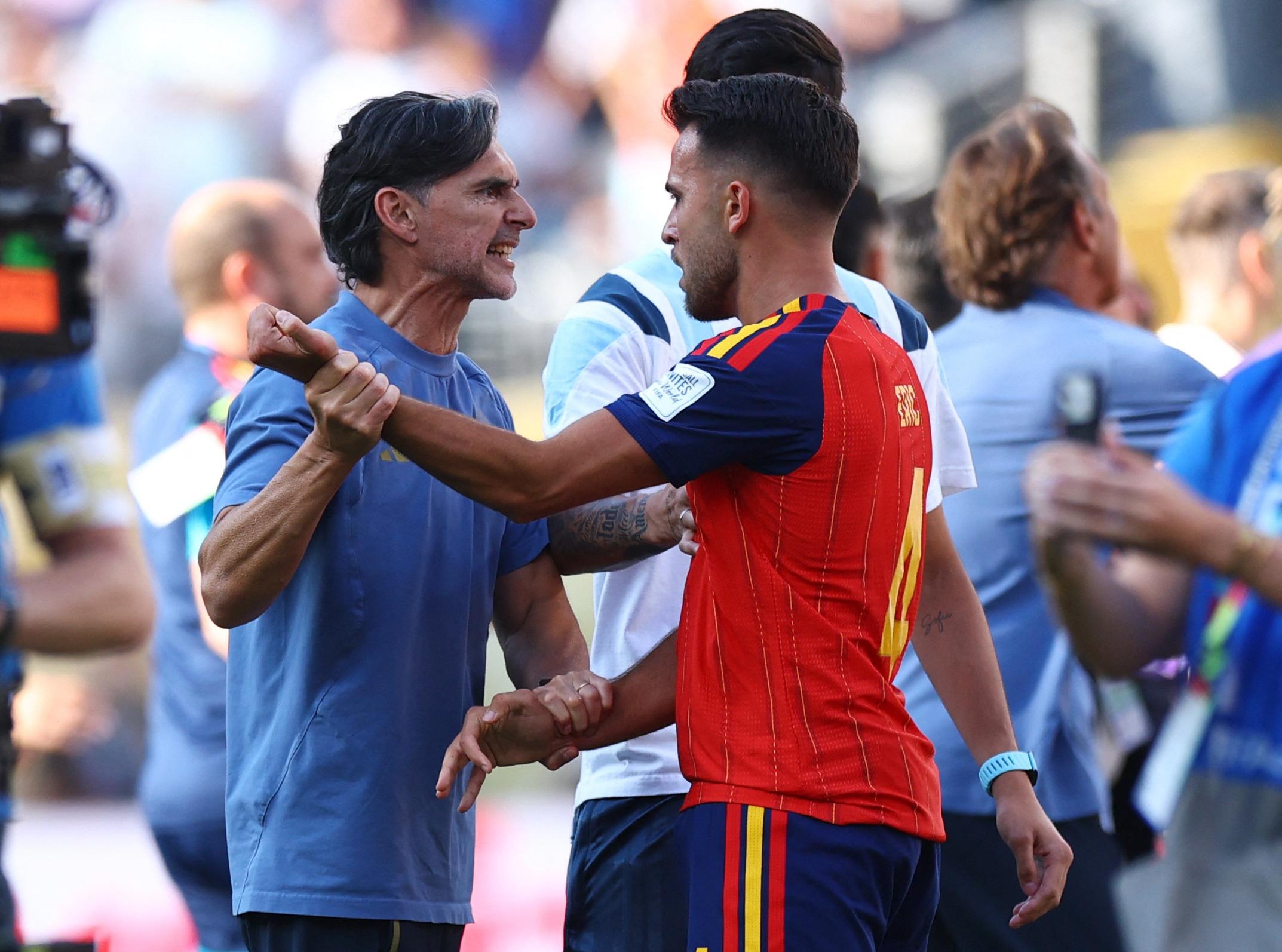 Argentina assistant Ayala says sorry for Olmo incident after World Cup final