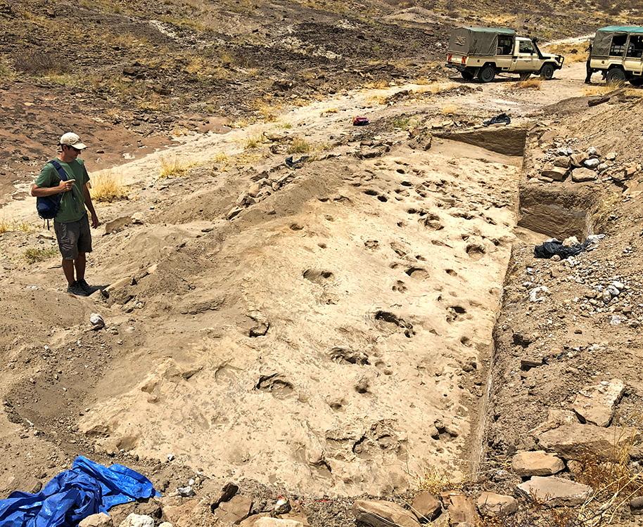 Kenyan footprints shed light on prehistoric human cousin Paranthropus
