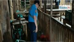 Pulis na umawat sa gulo sa loob ng isang KTV bar, patay matapos barilin sa Capiz