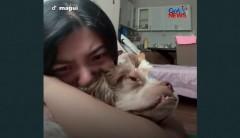 Furmom, naniniwalang ‘sinalo’ ng alaga niyang aso ang kaniyang sakit