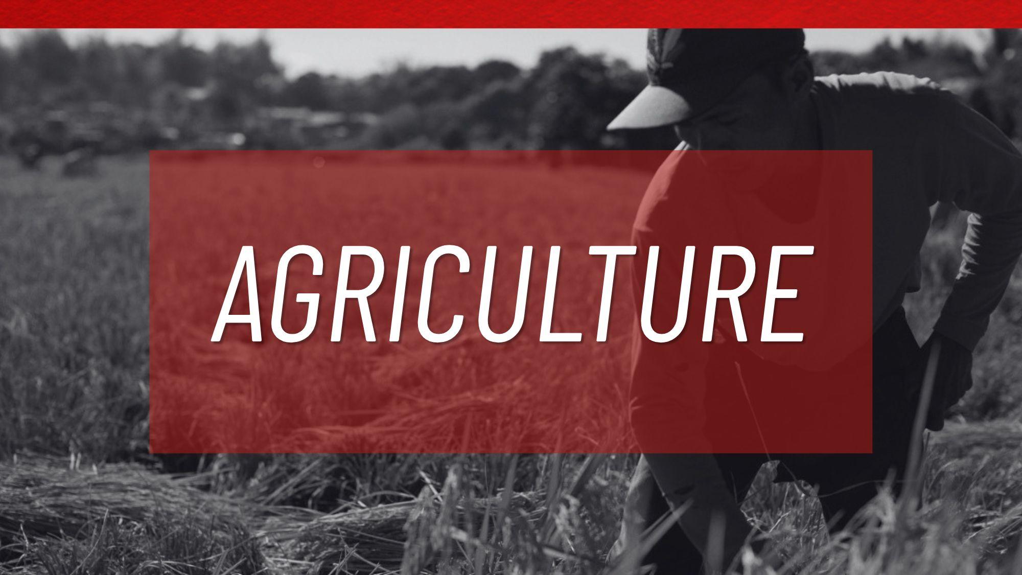 SONA 2026 President Bongbong Marcos: Agriculture