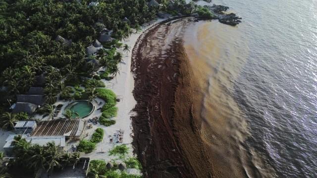 A drone view shows sargassum seaweed covering the shoreline of a deserted beach in the hotel zone in Tulum, Mexico, July 22, 2026. REUTERS/ Paola Chiomante